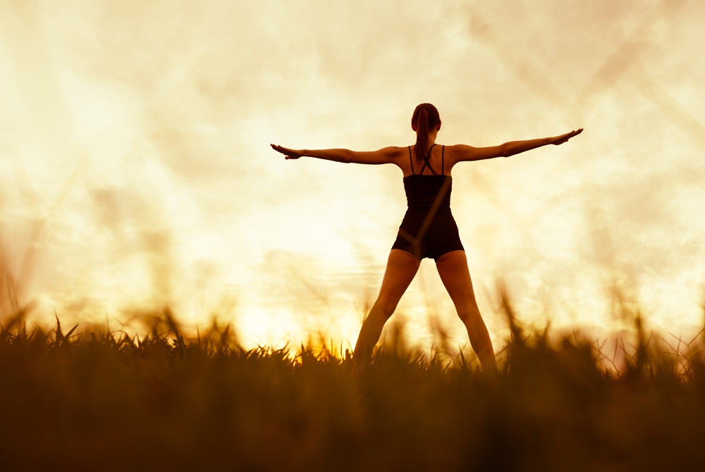 Auto Accident Chiropractor In Rapid City, SD Auto Accident Chiropractor In Rapid City, SD